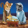 Cute Cats Nativity for Christmas